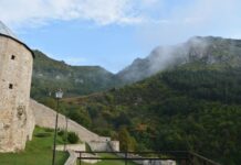 Location Purpose Gate Kynegos