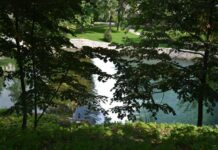 Discovery of a Great Treasure Near Deva